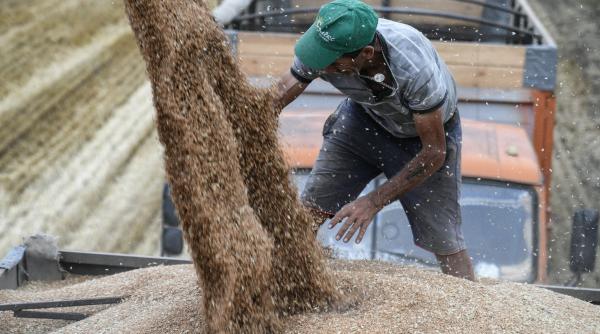 exporturi cereale rusia record 2023