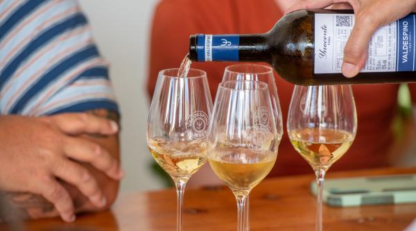 romani consumatori vin bautori bere