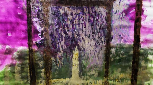 umbra cuvintelor tnb expozitie