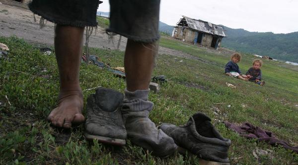 observator national copil vot deputati