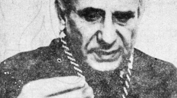 dimitrie stelaru poet inscenat deces reumatism cardiac