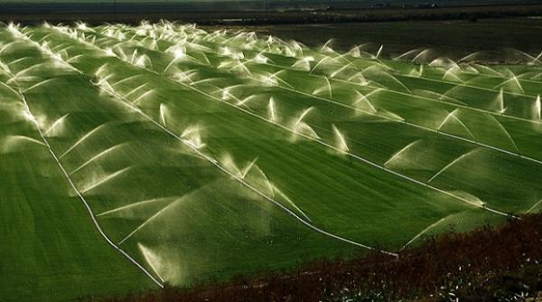 ministerul agriculturii campanie irigat olt
