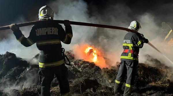 apel isu tulcea stop incendii vegetatie pericol oameni habitate naturale bunuri materiale