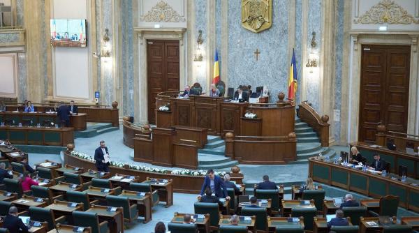 violenta domestica alocatia copilului ordin protectie nicoleta matilda goleac