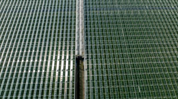 energie verde romania proiecte mici bani privati