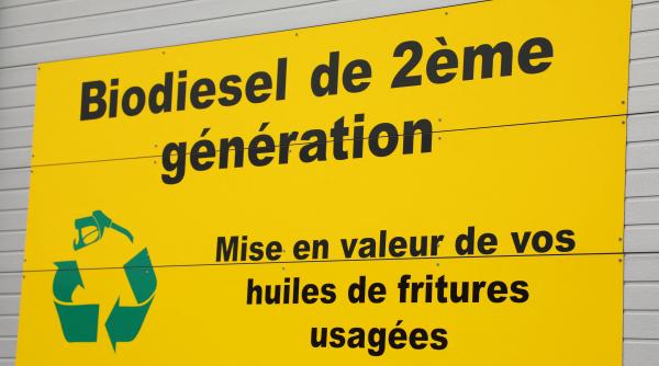 criza alimentara provocata crestere cerere uleiuri vegetale industria auto