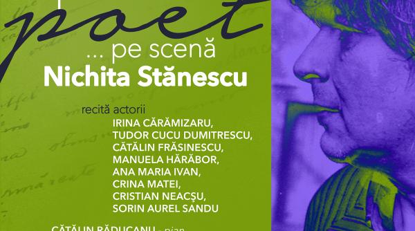 nichita stanescu aplauze pentru poet teatrul metropolis
