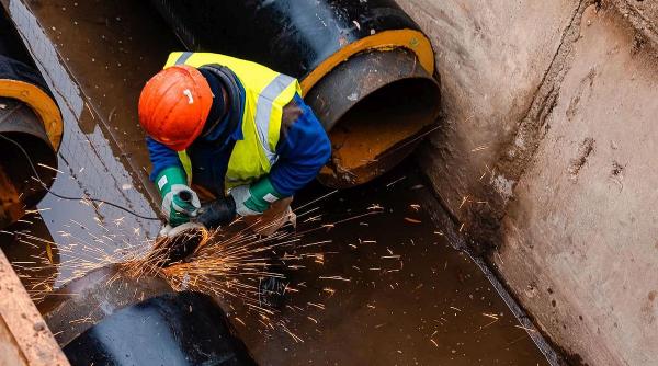 nicusor dan henri coanda