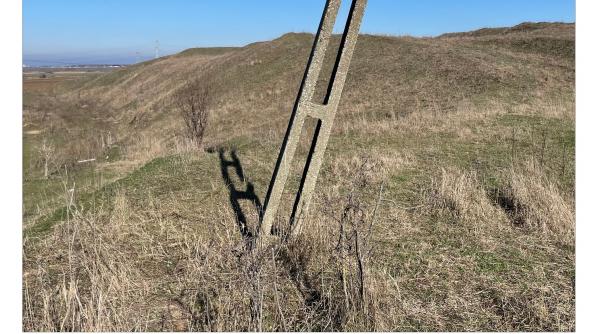 conferinta palatul sutu