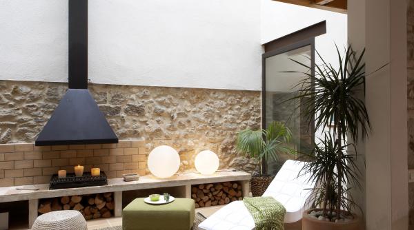 7 plante care pot supravietui fara lumina soarelui