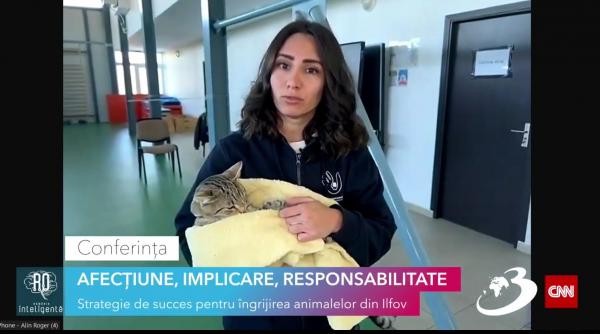 anca stoenescu consilier protectia animalelor saptamanal avem campanii de sterilizare gratuite atat pentru caini cat si pentru pisici