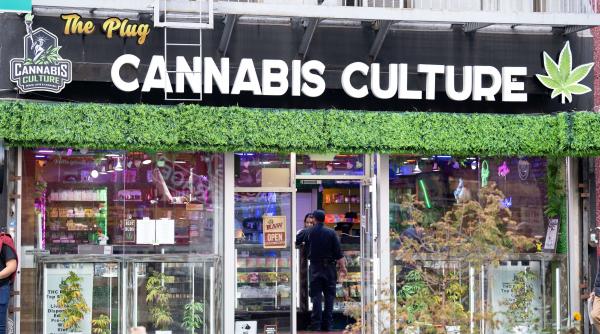 efecte consum canabis scop recreational sua pericole