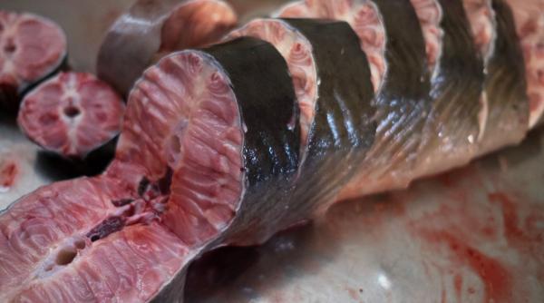 o delicatesa din romania face senzatie in vestul europei pretul ajunge la 2 000 de euro