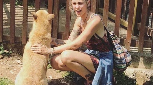 copil atacat caine dingo