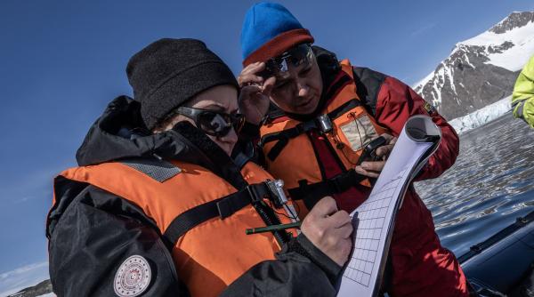 gheata antarctica topeste mult mai repede