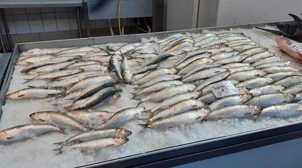 inspectori sanitari veterinari amenzi unitati comercializare procesare peste