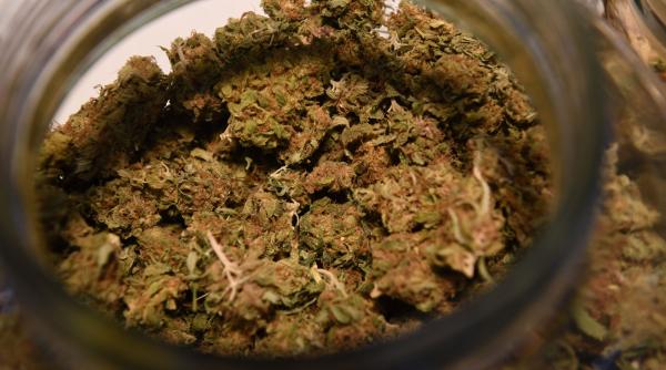 droguri halucinogene spania urma 3000 ani samani