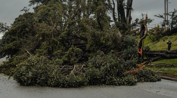 cod galben vant opt judete