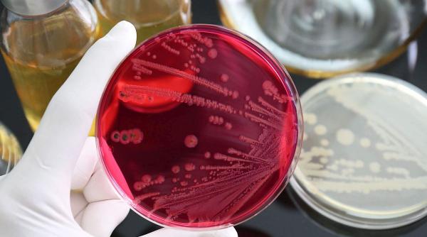 medicina date colectate sanatate irosite