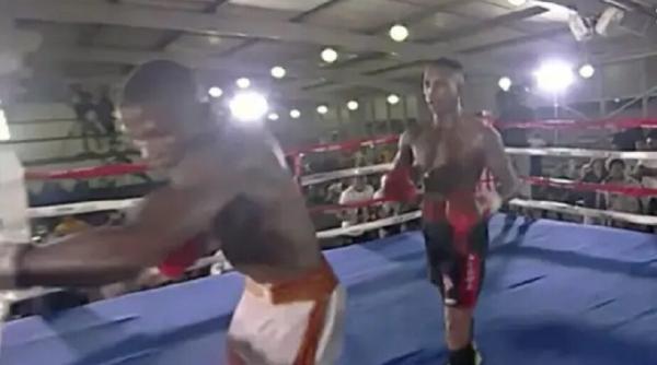 infiintata rivala organizatie internationala box iba