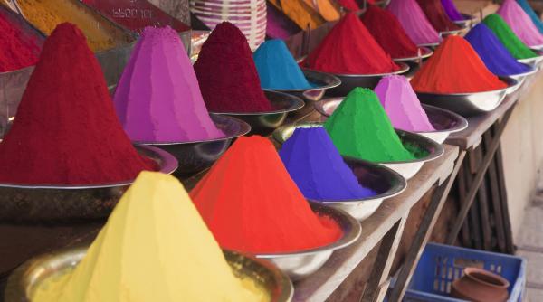 faina insecte utilizata sute ani europa numele comercial