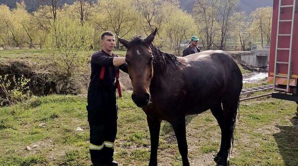 pompieri salvat cal lac
