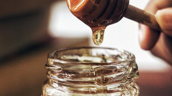 ungaria importuri ucraina