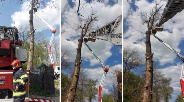 pompieri nacela interventie arad