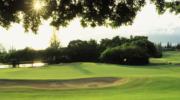 7 sfaturi udare gazon