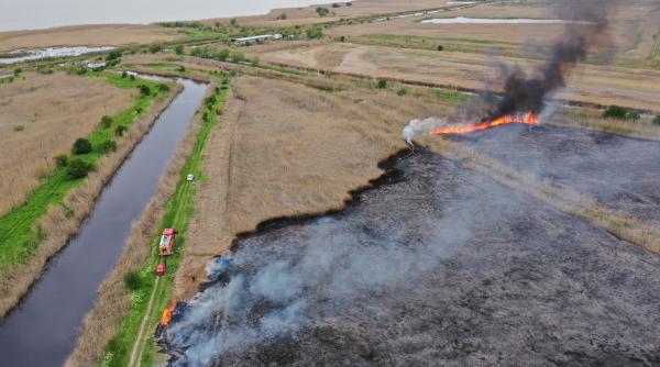 incendiu ferma stuficola tulcea