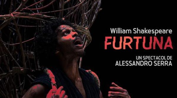 spectacole de muzica teatru film si design la institutul italian de cultura bucuresti