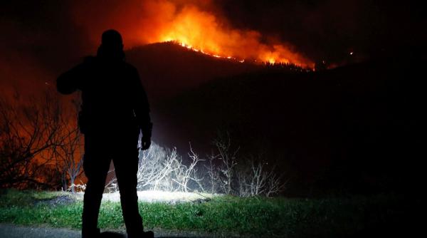 incendii paduri seceta