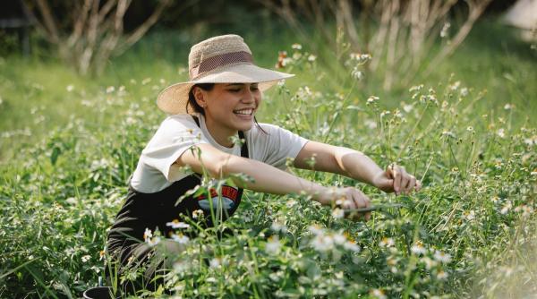 vitamine viata sanatoasa legume verzi clorofila antioxidanti