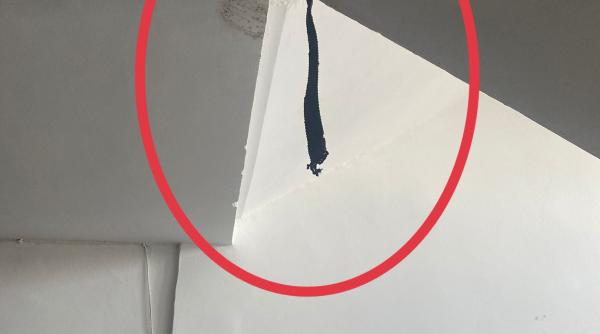 spanzurat dragoste balustrada bloc politisti salvat