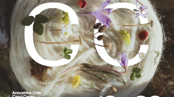 circular catalysts expozitie romanian design week