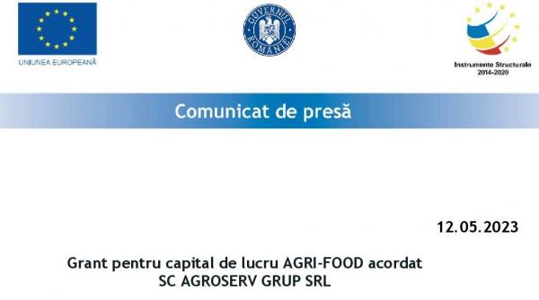grant capital lucru agri food sc agroserv grup srl