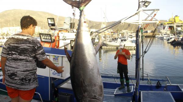 trisat turneu pescuit condamnati inchisoare