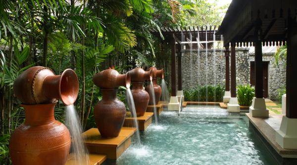 7 plante de apartament pe care le poti creste fara pamant