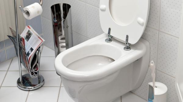 cum elimini rapid eficient depuneri rugina toaleta