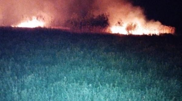 incendii weekend isu tulcea