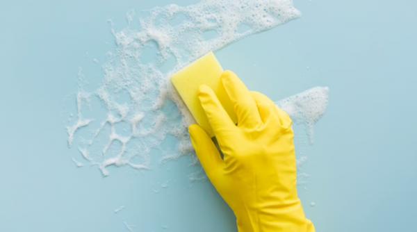 tapet intretinere mullt timp solutii