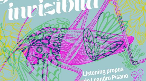 harta sonora invizibila leandro pisano