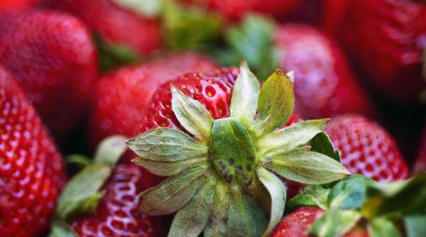 cum obtii capsune dulci gradina solutia simpla pentru fructe aromate