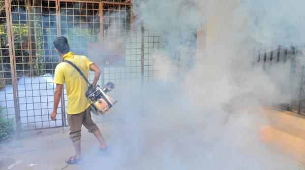 trafic insecticid substante periculoase timisoara