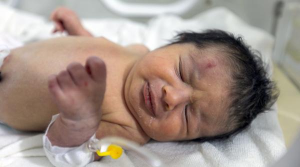 program cupluri infertile modificat