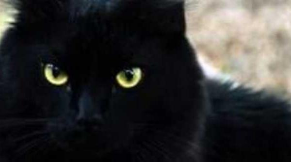 cele mai raspandite superstitii romani obiceiuri aduc noroc alunga ghinion