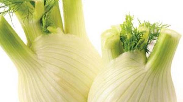 fenicul sanatate inima plamani alaptare pierdere greutate