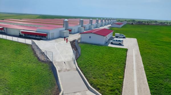 investitie carmistin 8 milioane euro mare moderna ferma crestere pasarilor judetul olt