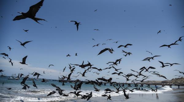 el nino persista 2024 recorduri caldura