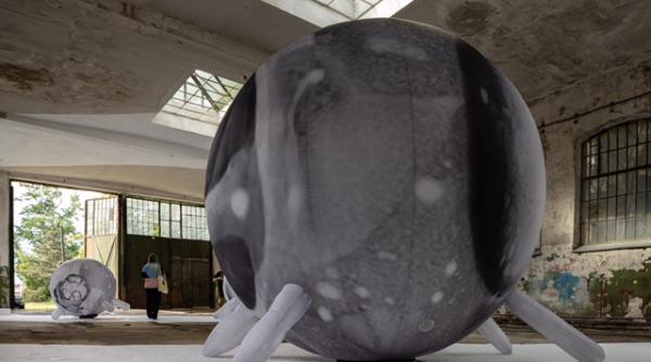 art encounters 2023 sase personalitati timisoara